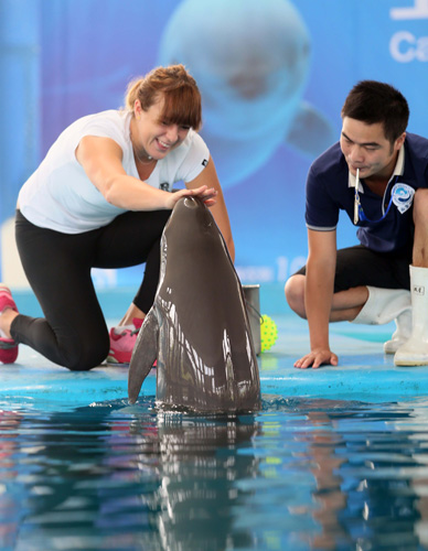 并在夏季窗 并在夏季窗